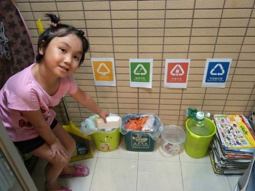 垃圾分类和回收教学图片