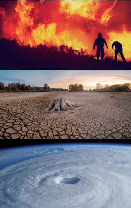 全球气候变化对生自然生态系统带来的灾难包括
