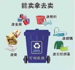 垃圾分类的回收与处理方案